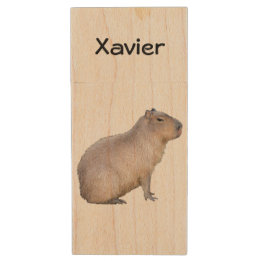 Clé USB Capybara