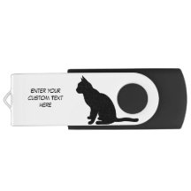 Disque flash pour chat assis