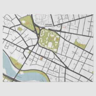 CLEAN HARVARD UNIVERSITY MASSACHUSETTS KONTUR MAP SEIDENPAPIER
