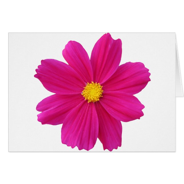 Clean.png (Vorderseite (Horizontal))