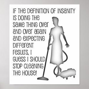 Cleaning Insanity Fun Poster