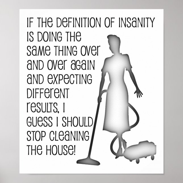 Cleaning Insanity Fun Poster (Vorne)