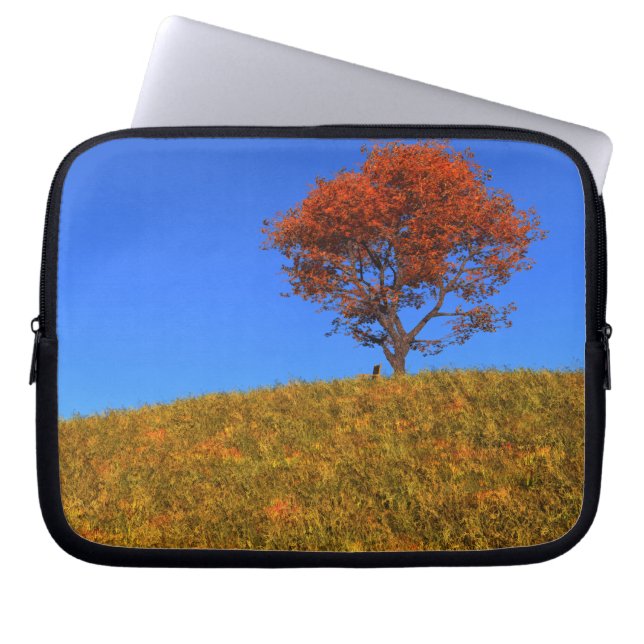 Clear Autumn Day Laptop Sleeve (Vorderseite)