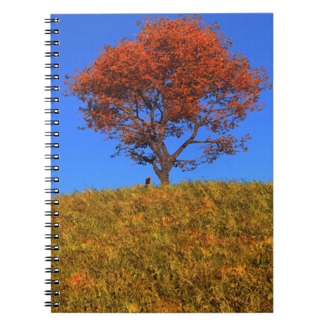 Clear Autumn Day Notizblock (Vorderseite)