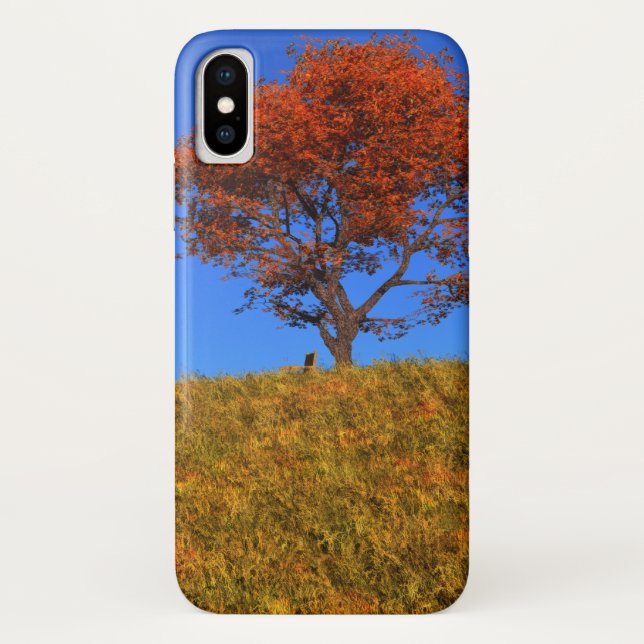 Clear Herbst Day iPhone Case-Mate Hülle (Rückseite)