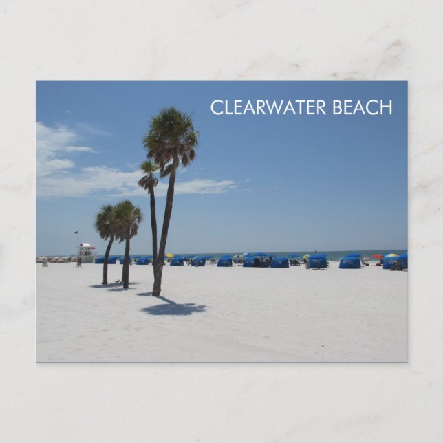 Clearwater Beach FL Postkarte (Vorderseite)