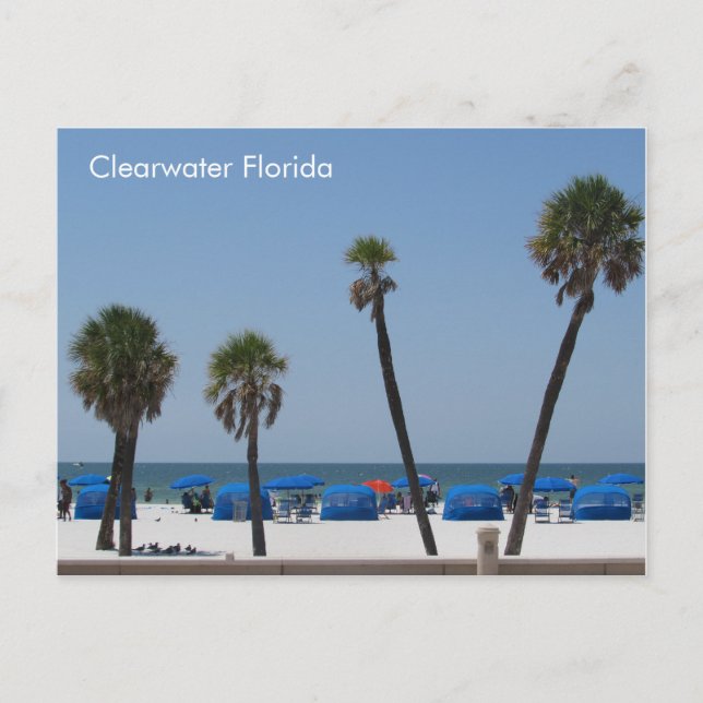Clearwater Beach, Florida Postkarte (Vorderseite)