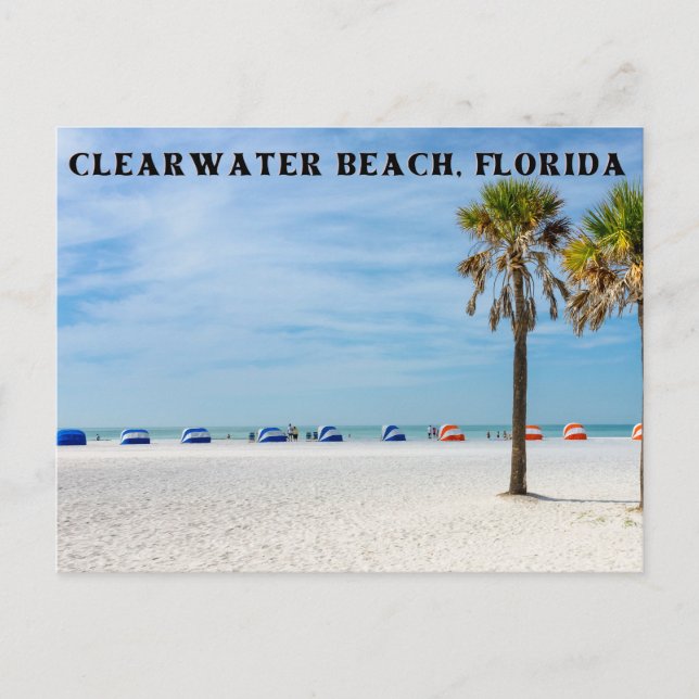 Clearwater Beach, Floride Carte postale (Devant)
