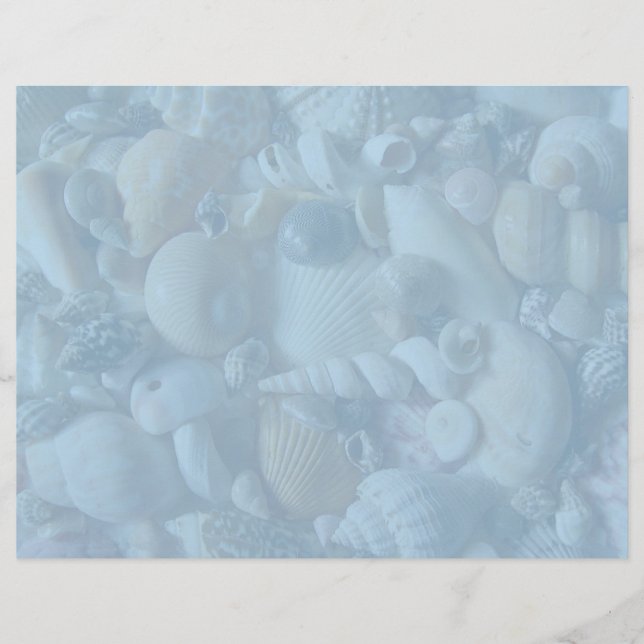Clearwater Blue Blank Seashell Letterhead Paper (Vorderseite)