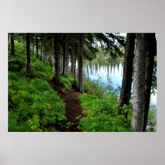 Clearwater River Trail Poster