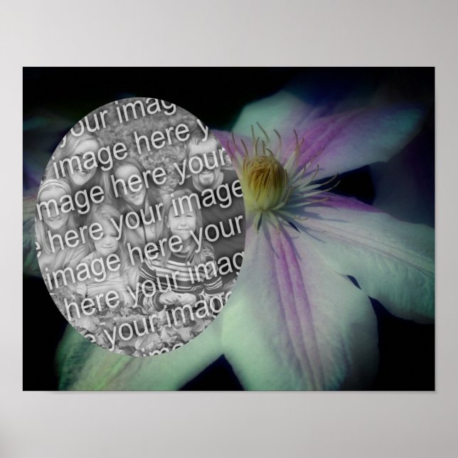 Clematics Blume Petals Frame erstellen Ihr eigenes Poster (Vorne)