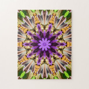 CLEMATIS