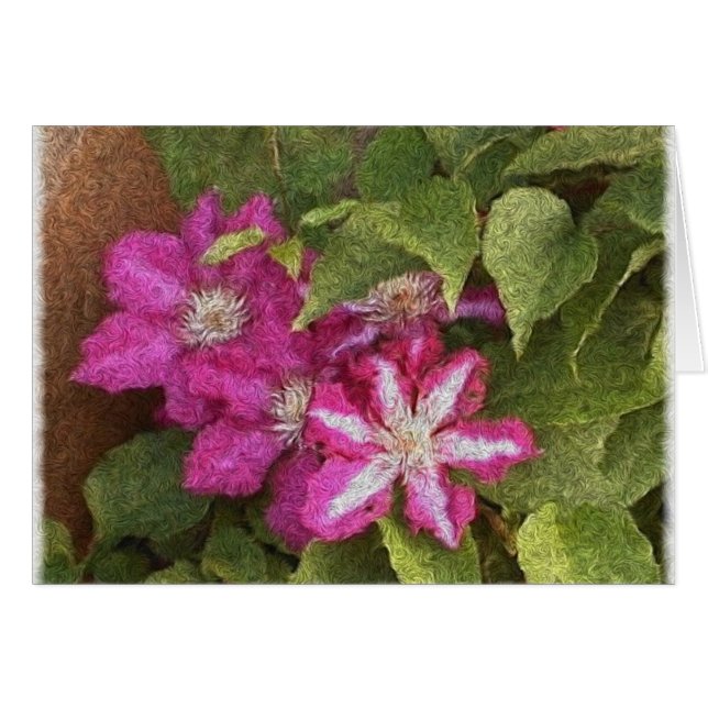 Clematis (Vorderseite (Horizontal))