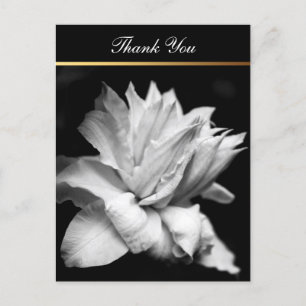 Clematis 1b Memorial Beileid Vielen Dank Postcard Postkarte