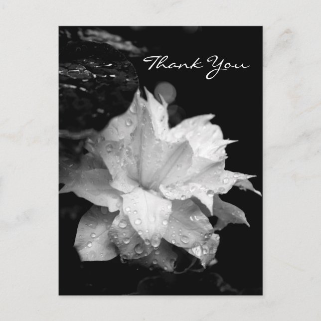 Clematis 2a Floral BW Foto Beileid Vielen Dank Postkarte (Vorderseite)