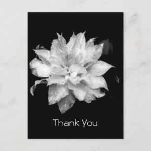Clematis 3a Memorial Beileid Vielen Dank Postcard Postkarte