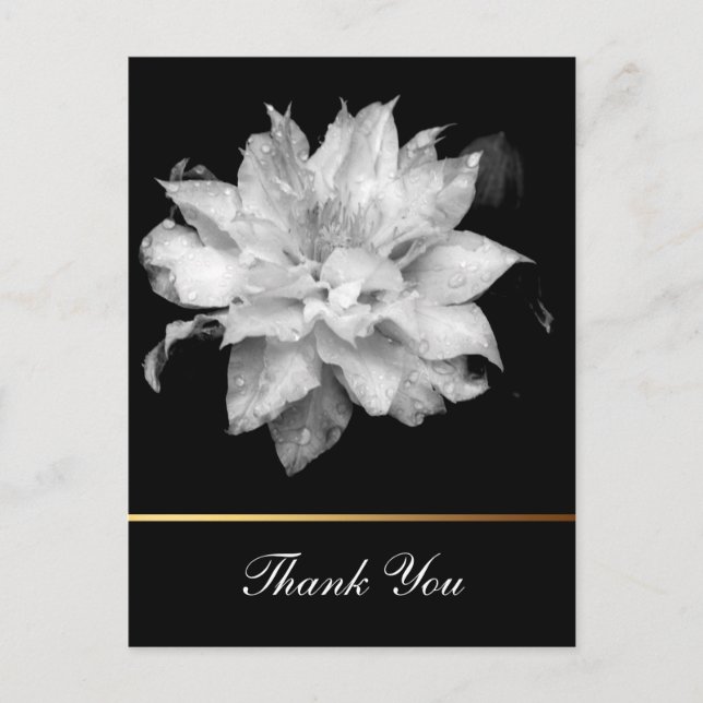 Clematis 3c Floral B&W Foto Beileid Vielen Dank Postkarte (Vorderseite)