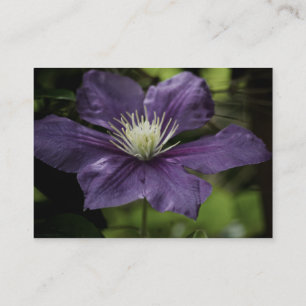 Clematis 8510 Mini Print Visitenkarte