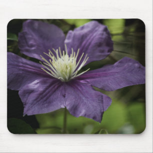 Clematis 8510 Mousepad