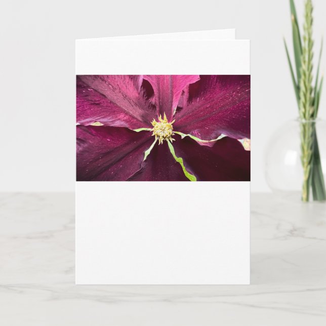 Clematis, carte (Devant)