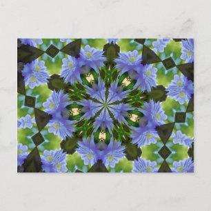 Clematis Fleur Kaleidoscope Carte postale