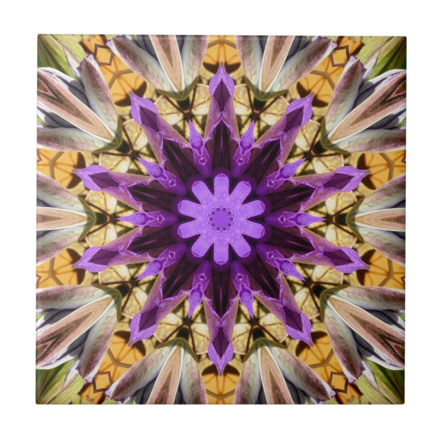 CLEMATIS FLIESE (Vorderseite)