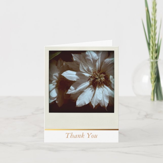 Clematis Floral Fotografie Vielen Dank Note Card Dankeskarte (Vorderseite)