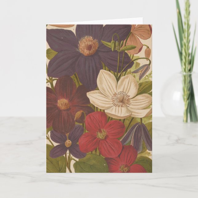 Clematis | George Nicholson Karte (Vorderseite)