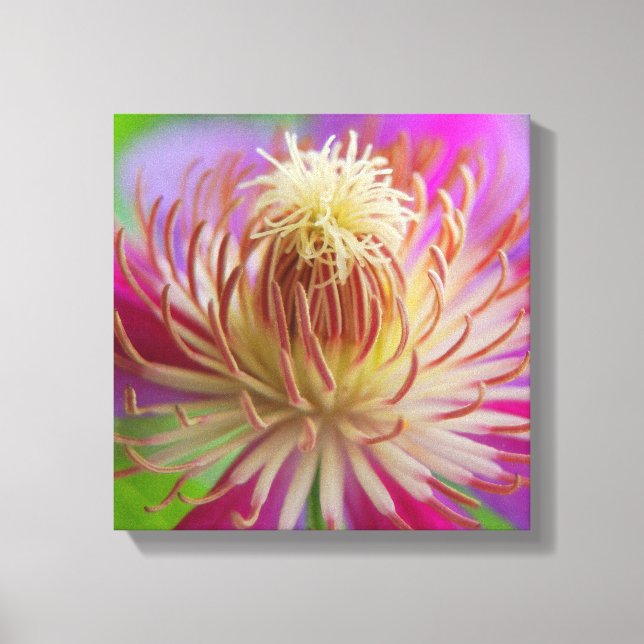 Clematis I Leinwanddruck (Vorderseite)