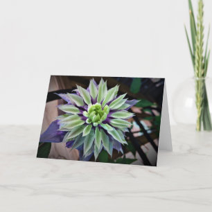 Clematis, Karte
