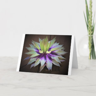 Clematis, Karte