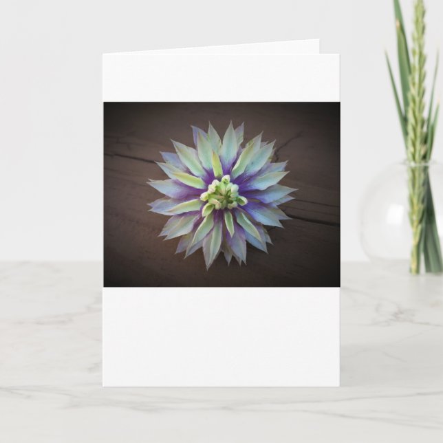 Clematis, Karte (Vorderseite)