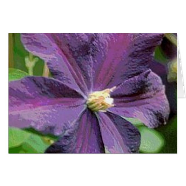 Clematis Lila Blume Card (Vorderseite (Horizontal))