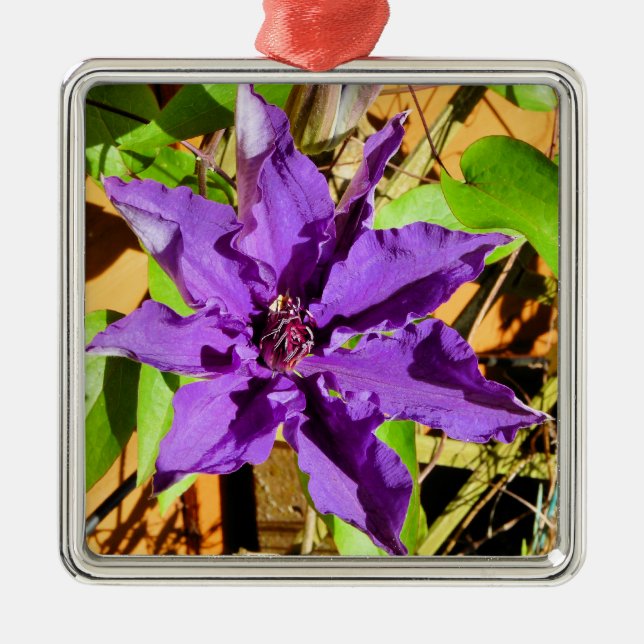 CLEMATIS ORNAMENT AUS METALL (Vorne)