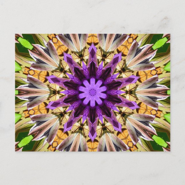 CLEMATIS POSTKARTE (Vorderseite)