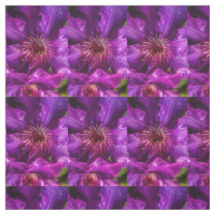 Clematis Präsident Stoff