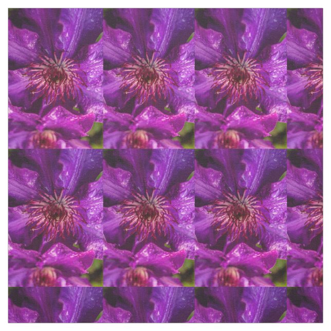 Clematis Präsident Stoff (Muster)