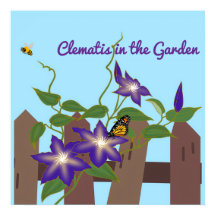Clematis-Rebe im Garten