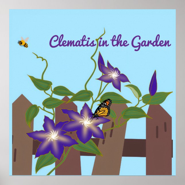 Clematis-Rebe im Garten  Poster (Vorne)
