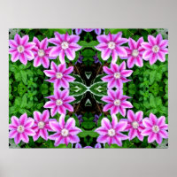 Clematis und Oregano, rosa Blume grün botanisch