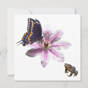 Clematischer Blume und Schmetterling aus schwarzem