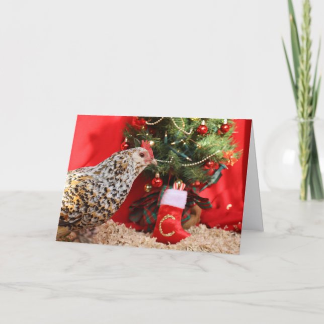 Clementine's Christmas Wish  Feiertagskarte (Vorderseite)