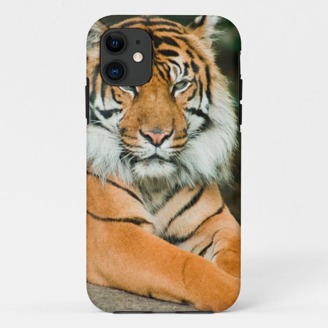 Clemson-Tiger-Fußball-Zellen-Telefon-Hüllen und Case-Mate iPhone Hülle (Rückseite)