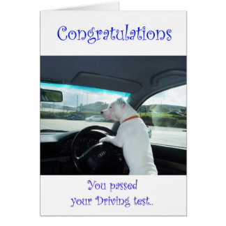 Cleo-Fahrprüfung erfolgreich abgeschlossen