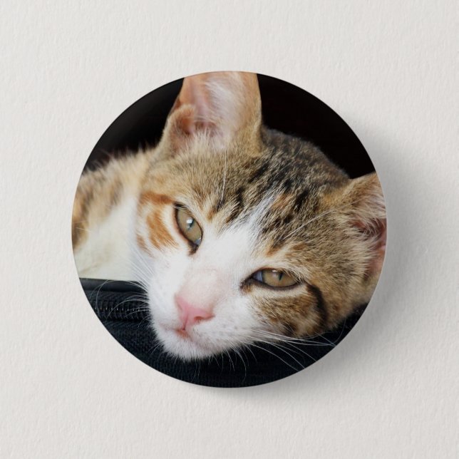 Cleo Katzen-Knopf Button (Vorderseite)