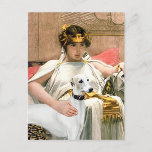 Cleopatra und White Whippet Postkarte
