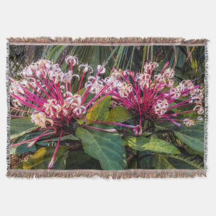 Clerodendrum Sternexplosion Blume Throw Blanket Decke