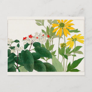 Clerodendrum thomsoniae, Rudbeckia, Tanigami Konan Postkarte