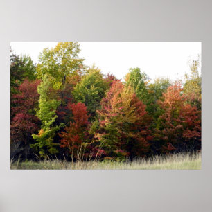 Cleveland Autumn Colors (Park) Poster