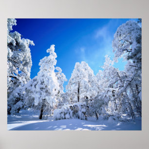 Cleveland National Forest Poster